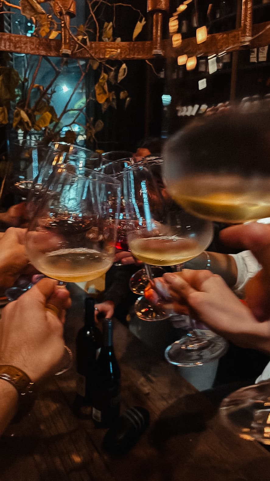 Personas brindando con copas de vino durante un encuentro en Brote